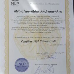 Master NLP Integrativ